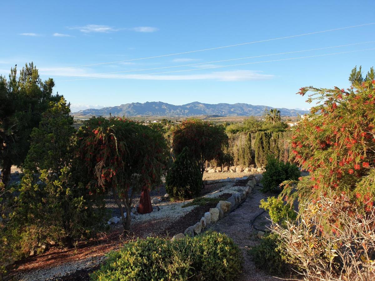 Bed & Breakfast Finca San Mateo *